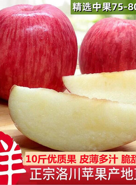 新鲜产地精选10约当季特产水果苹果斤一级红富士洛川陕西整箱