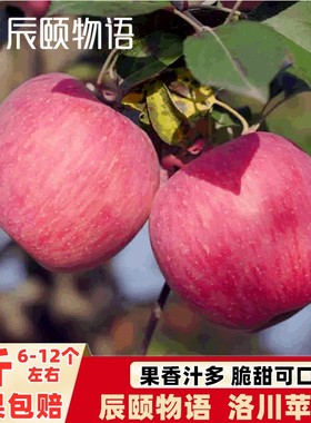 辰颐物语洛川红富士苹果新鲜水果当季整箱陕西洛川正宗红富士脆甜