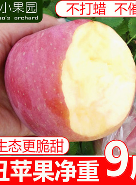 红富士丑苹果水果净重9斤新鲜整箱脆甜高山平果大萍果非冰糖心