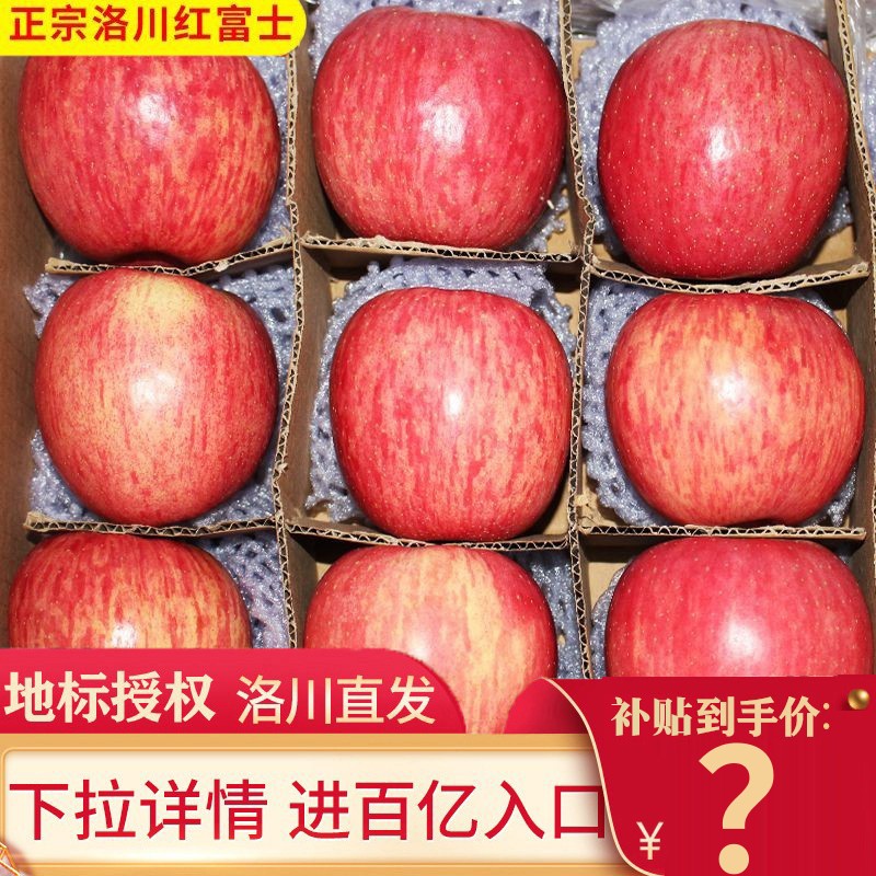 陕西特产正宗洛川红富士苹果水果一级新鲜脆甜品质果整箱产地发货