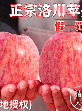 正宗陕西洛川苹果红富士10水果新鲜当季整箱斤冰糖心脆甜特级官方