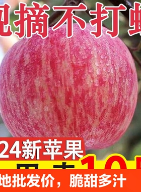 爆款陕西苹果脆甜红富士新鲜水果应季批发丑苹果整箱当季鲜果自然