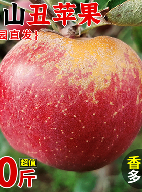 云南昭通市丑苹果10斤冰糖心现摘新鲜水果红富士大凉山平果整箱