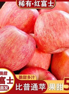 【礼盒装】2024陕西洛川红富士苹果脆甜新鲜水果一整箱彩箱手提袋