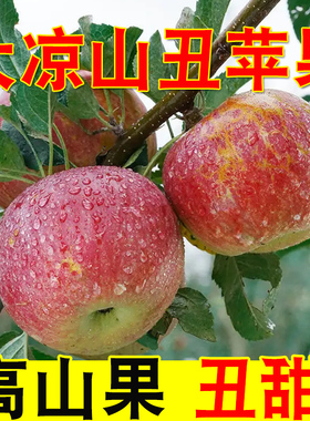 苹果水果丑苹果冰糖心大凉山新鲜水果红富士整箱产地包邮应季脆甜