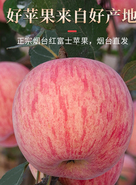 【直播推荐】正宗山东烟台红富士苹果新鲜水果整箱栖霞脆甜苹果
