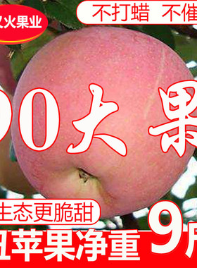 红富士丑苹果水果净重9斤整箱新鲜大平果山西脆甜萍果非5斤冰糖心