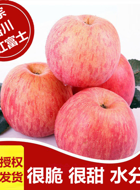 整箱5/10斤正宗陕西洛川红富士苹果水果一级新鲜脆甜品质果产地发