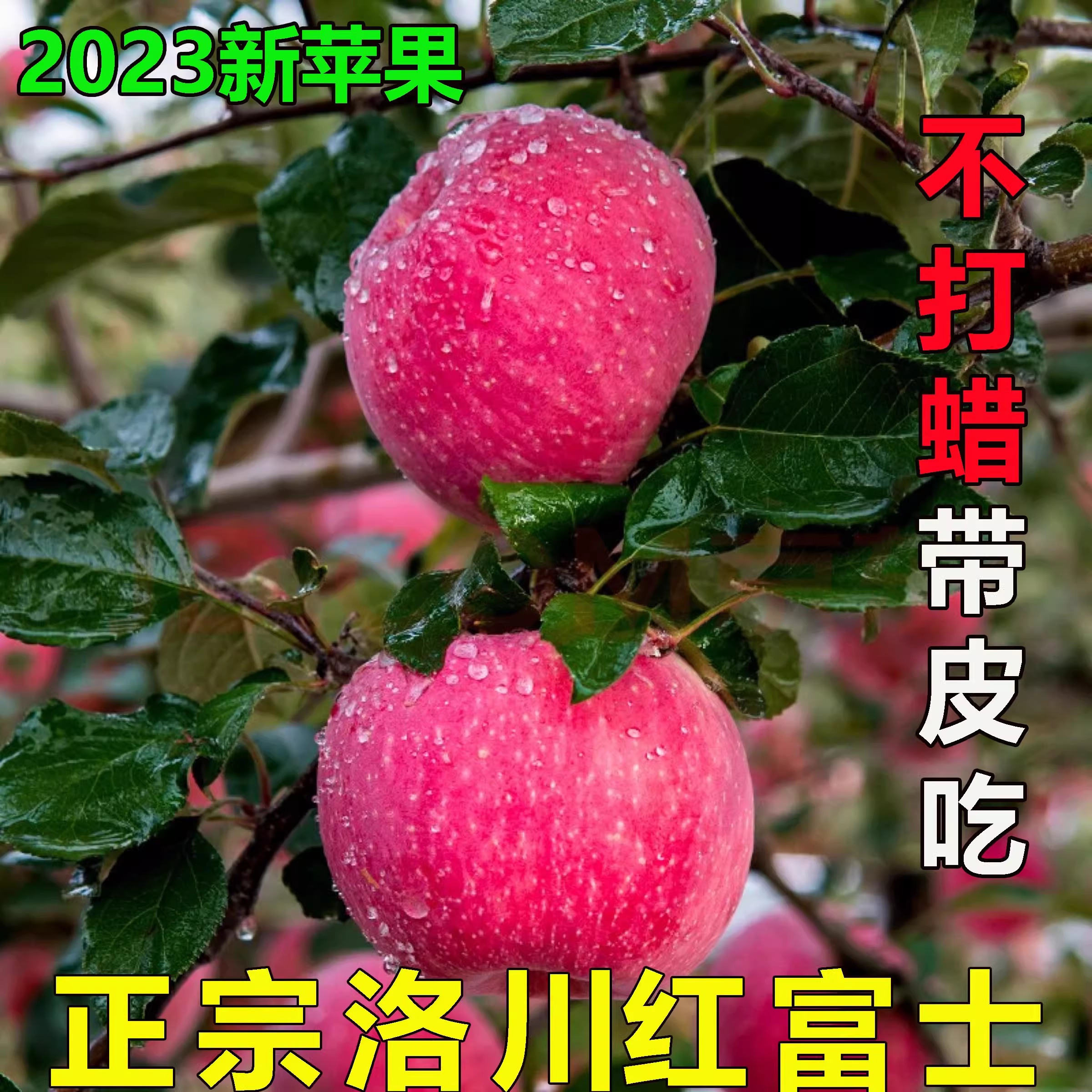 陕西正宗洛川苹果新鲜水果当季脆甜一级红富士孕妇冰糖心10斤整箱
