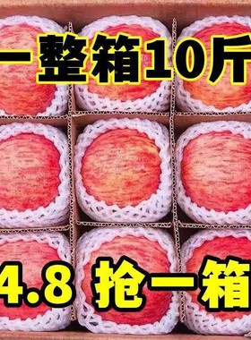 正宗洛川苹果9斤新鲜水果陕西红富士当季冰糖心脆甜大整箱10