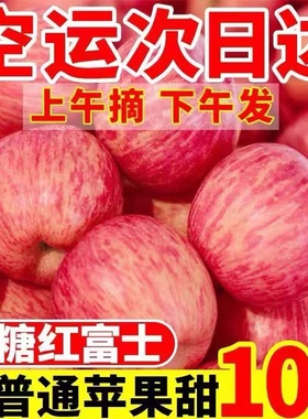 山东烟台红富士苹果10斤新鲜水果当季正宗栖霞冰糖心萍果整箱