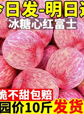 陕西洛川红富士苹果水果新鲜整箱当季脆甜丑平果10冰糖心包邮正宗