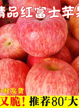 精选陕西洛川红富士苹果当季新鲜水果现货脆甜多汁一整箱非冰糖心