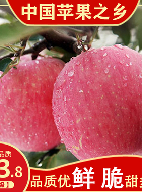 正宗陕西白水苹果水果新鲜整箱有机当季红富士冰糖心脆甜10斤平果