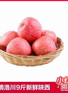 现摘洛川苹果9斤新鲜水果陕西红富士当季包邮整箱条纹