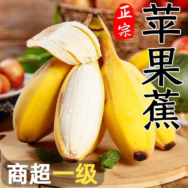 正宗苹果蕉香蕉新鲜9斤当季整箱水果自然熟粉蕉芭蕉小米香甜蕉10