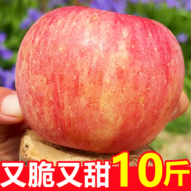 正宗陕西红富士苹果新鲜10斤脆甜水果应当季冰糖心萍果丑平果整箱