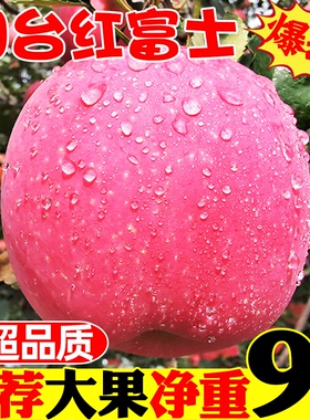 山东烟台红富士苹果9斤水果新鲜当季整箱应季一级栖霞特产10包邮