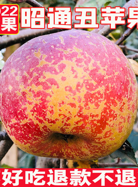 22年现摘丑苹果冰糖心正宗云南昭通新鲜孕妇水果甜当季整箱10斤