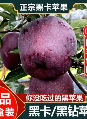 云南昭通黑卡苹果黑钻苹果黑色苹果脆甜苹果水果当季整箱10斤包邮
