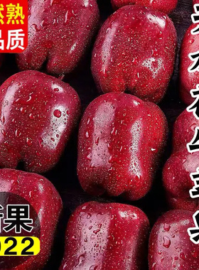 甘肃天水花牛苹果正宗10斤新鲜水果当季整箱红蛇苹果粉面红苹果