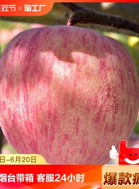 山东烟台红富士苹果10斤当季新鲜水果整箱包邮鲜果脆甜精选自然