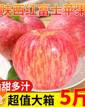 陕西红富士苹果新鲜当季水果孕妇整箱脆甜冰糖心大苹果10斤非顺丰
