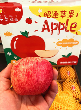 云南昭通红苹果礼盒10斤装新鲜水果冰糖心苹果红富士脆甜多汁