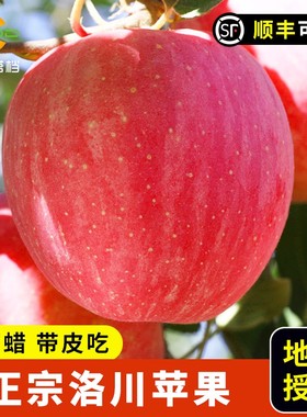 正宗陕西洛川苹果新鲜水果当季整箱10斤红富士脆甜一级冰糖心5