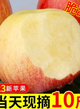 正宗大沙河苹果红富士冰糖心脆甜徐州丰县丑苹果当季新鲜水果10斤