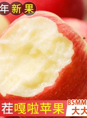 嘎啦苹果新鲜10斤水果应当季整箱包邮青陕西红富士脆甜冰糖丑苹果