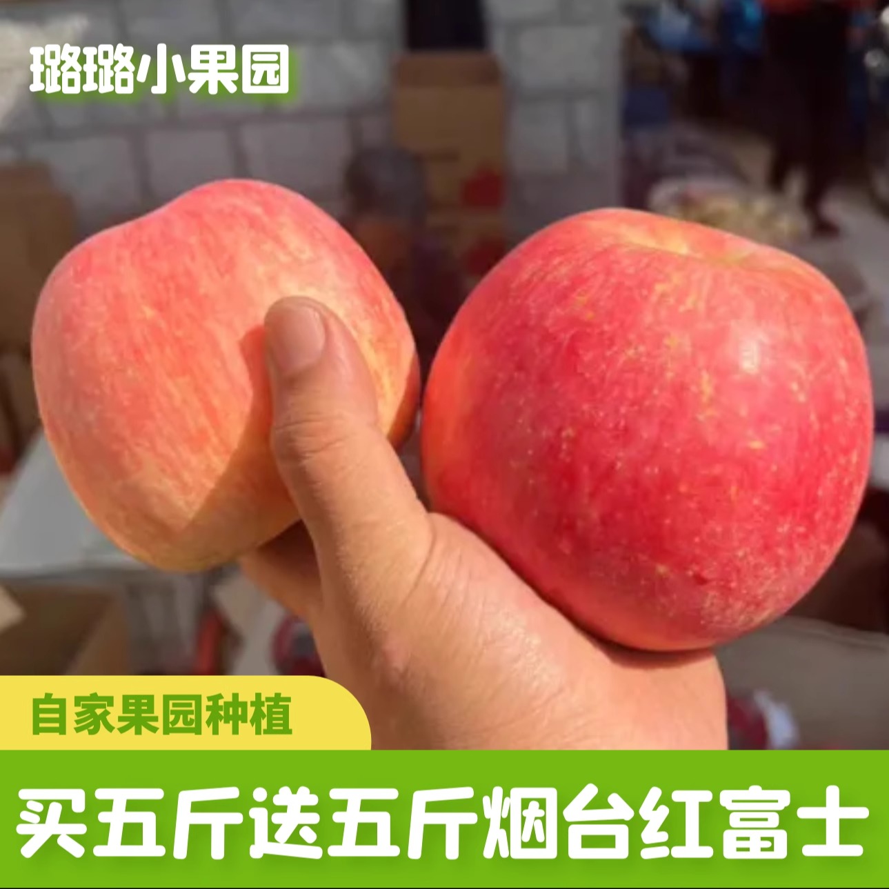 【买5斤送5斤】山东烟台红富士丑苹果 脆甜当季新鲜水果10斤整箱