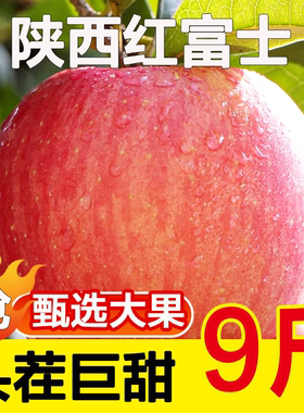 陕西红富士苹果10斤水果新鲜当季整箱丑萍果整箱脆甜一级冰糖心甜