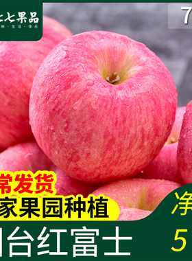 山东烟台苹果水果栖霞红富士天然纯新鲜农家3斤5斤10斤当季整箱