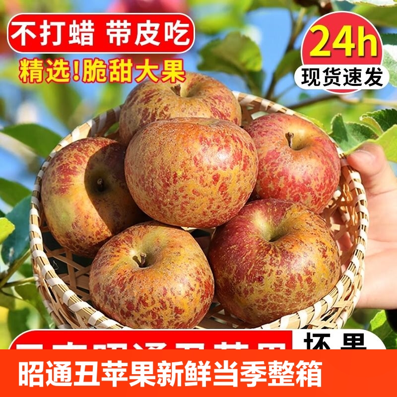 云南昭通丑苹果冰糖心新鲜水果当季嘎啦红露苹果红富士苹果10斤