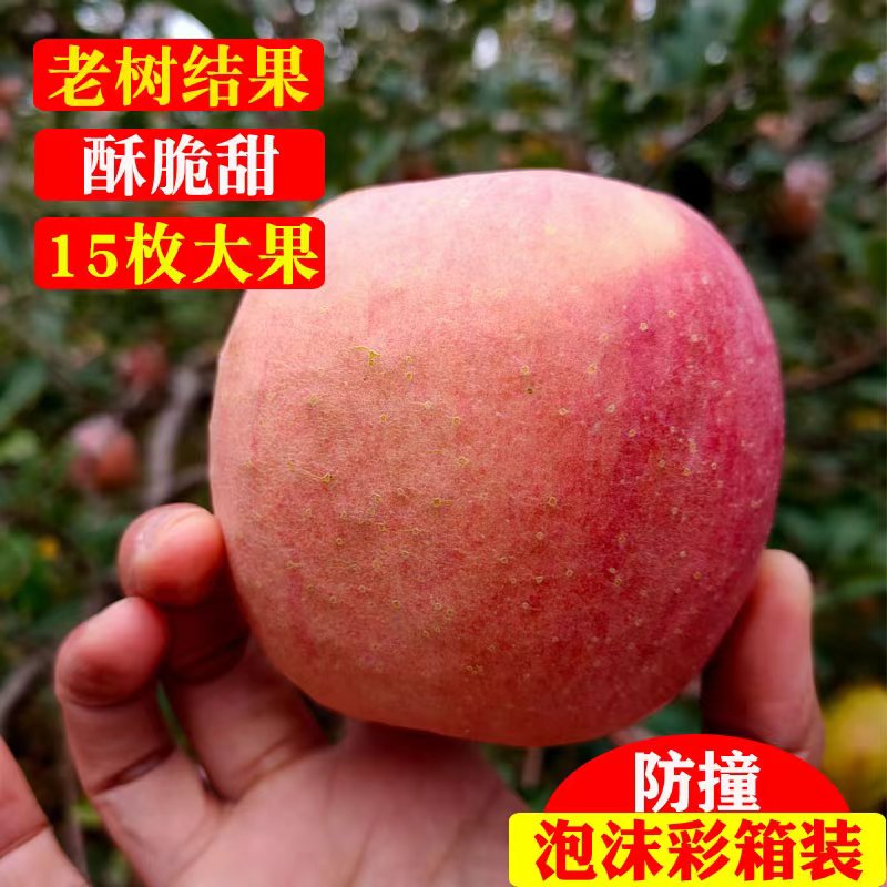 新鲜水果苹果冰糖心红富士山西运城临猗应季时令脆甜箱装10斤果园