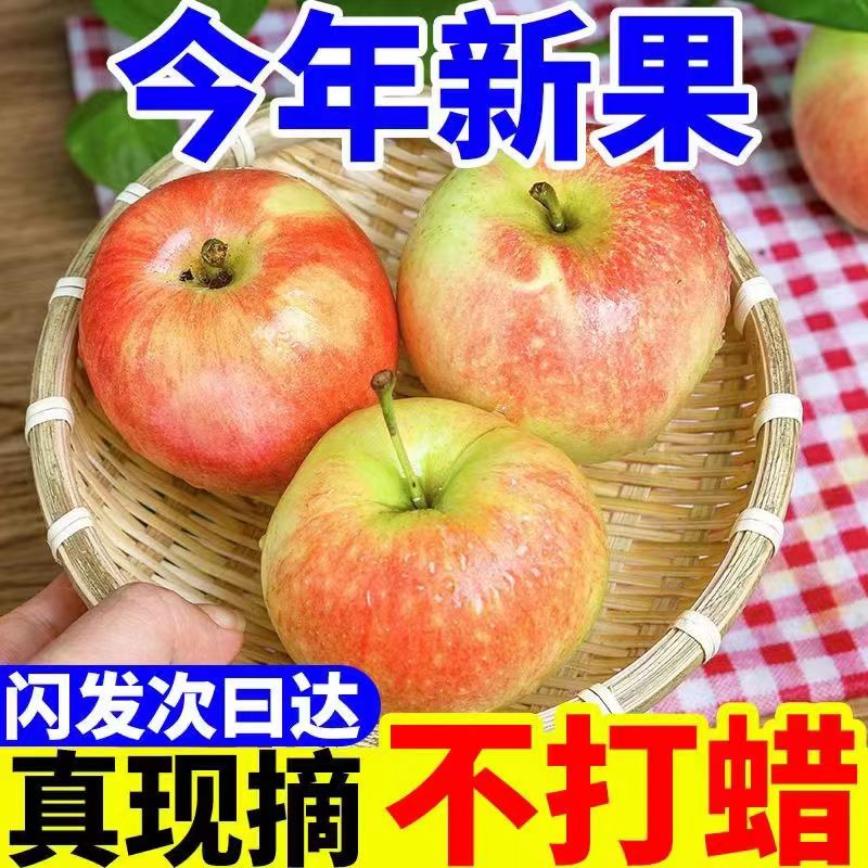 新鲜嘎啦苹果10斤装应当季水果特产青红富士脆甜冰糖心丑平果整箱