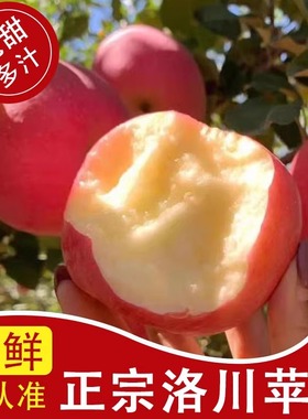 苹果水果新鲜水果当季陕西红富士洛川苹果富士脆甜10斤带箱丑果
