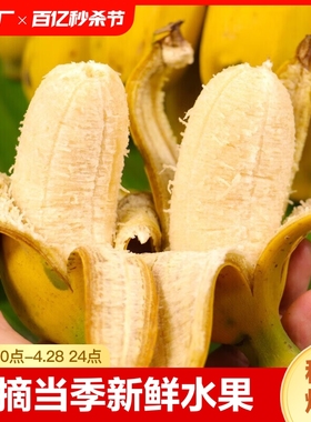 现摘广西小米蕉当季新鲜水果10斤整箱自然熟苹果蕉香蕉帝皇焦粉焦