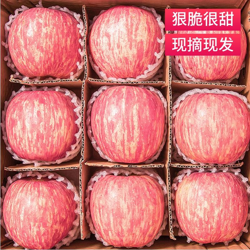 苹果水果新鲜水果当季整箱陕西洛川正宗红富士脆甜10斤包邮