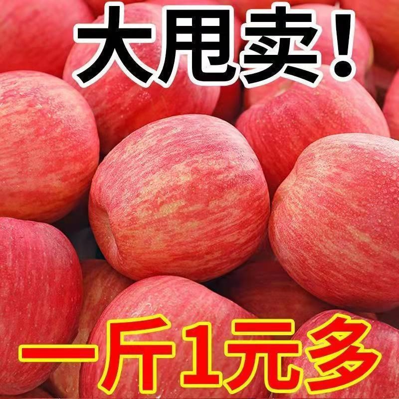 陕西红富士苹果10斤冰糖心当季新鲜水果一整箱批应季脆甜丑脆苹
