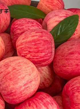 烟台红富士苹果5斤10斤水果新鲜栖霞当季现季脆甜苹果批整箱包邮