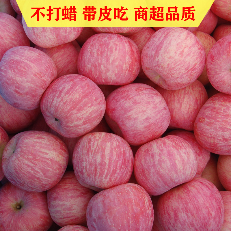 斤山东10新鲜苹果栖霞当季脆红富士批大果整箱的精品烟台甜吃水果