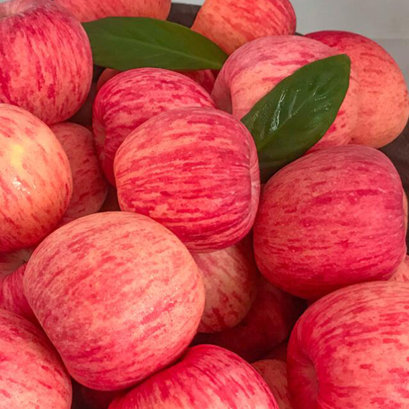 甜烟台5红富士10新鲜季脆苹果苹果栖霞批斤当季现水果斤整箱