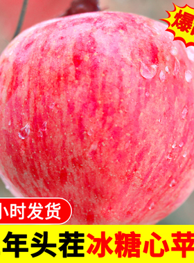 苹果水果10斤新鲜红富士苹果山西冰糖心丑萍果当季水果批整箱包邮