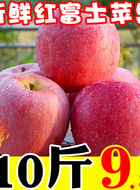 新鲜陕西红富士苹果水果脆甜冰糖心丑苹果孕妇不打蜡10斤包邮批5