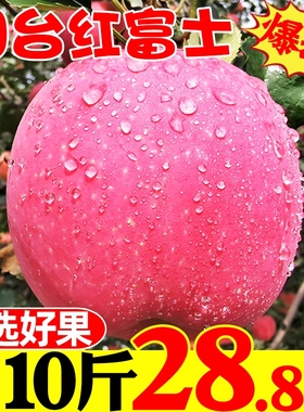 大苹果新鲜苹果水果10斤红富士脆甜包邮批当发季整箱现摘山东特产