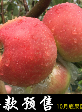 安徽砀山红富士苹果新鲜水果烟台特产整箱10斤当季批农家陕西脆甜