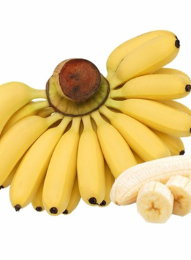 广西小米蕉新鲜10斤小香蕉苹果蕉芭蕉树熟现摘孕妇水果整箱批包邮