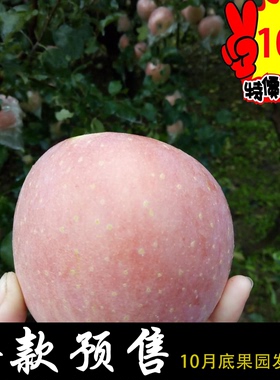 安徽砀山正宗红富士丑苹果10斤批包邮烟台农家新鲜水果纯天然小